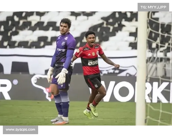 弗拉门戈经济状况及市场分析综述 弗拉门戈经济状况及市场分析综述